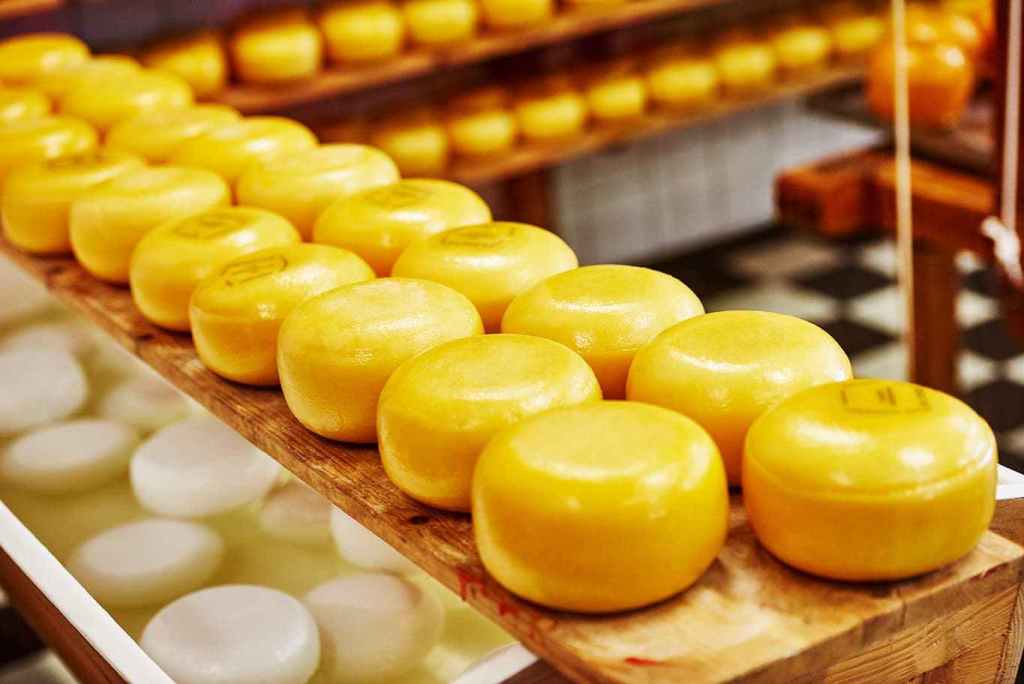 DRIVES IN THE CHEESE MAKING INDUSTRY